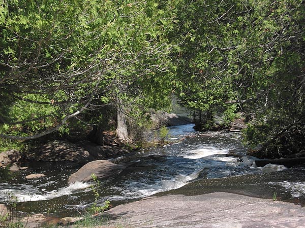 Carcajou Creek
