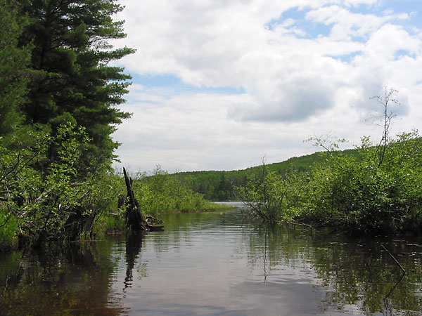 Mouth of Rowan Creek at Grand lake in Algonquin Park