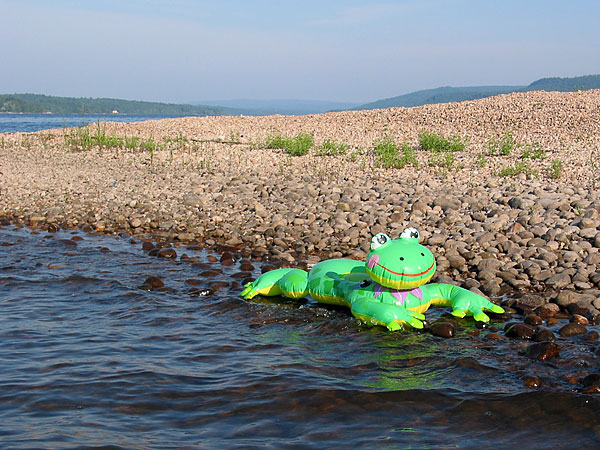 Mr. Frog