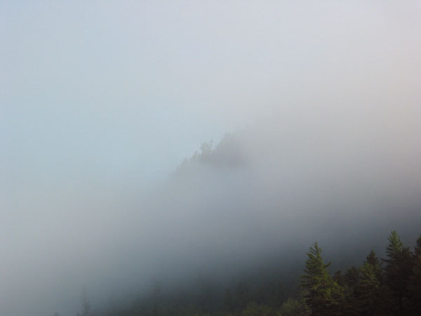 morning mist
