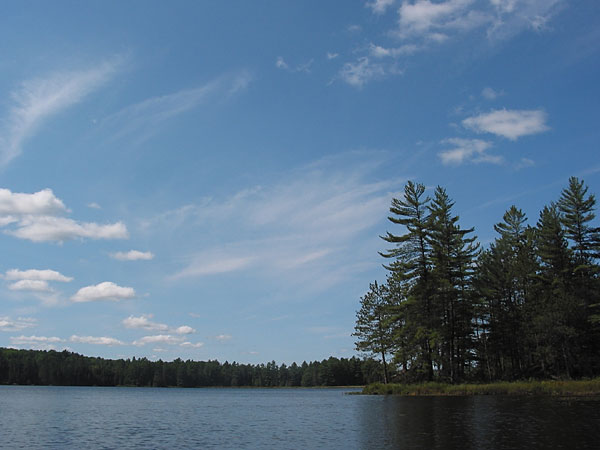 Lower Spectacle Lake in Algonquin Park
