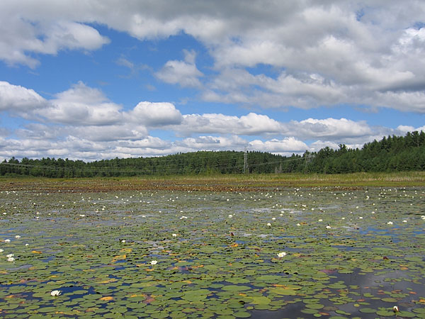 On Grand Lake looking up the Barron River towards Clemow Lake in Algonquin Park