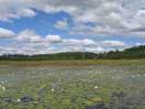 On Grand Lake looking up the Barron River towards Clemow Lake in Algonquin Park