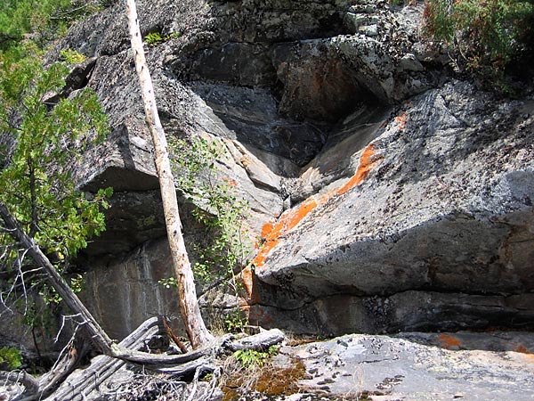 Cliff with Lichens on Grand Lake in Algonquin Park