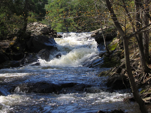 Chute on Barron River in Algonquin Park