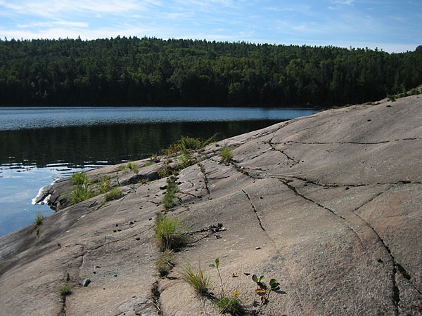 Grand Lake in Algonquin Park
