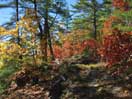 The north rim of Eustache Lake in Algonquin Park