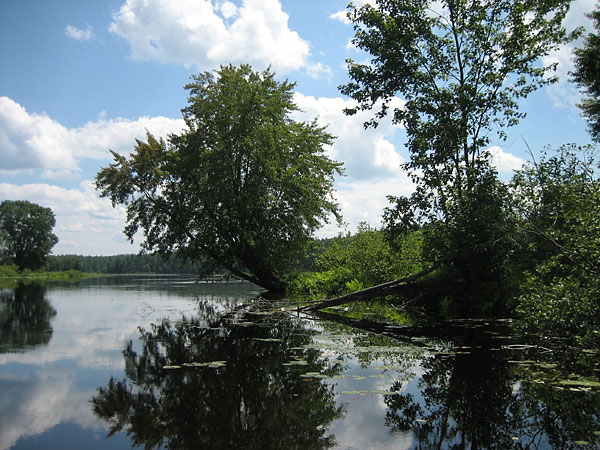 Whitson Lake on the Petawawa River in Algonquin Park