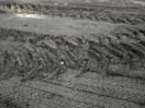 repair of Clouthier Road in the Petawawa Research Forest