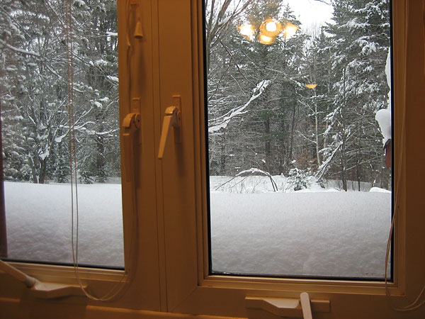 Kitchen window