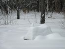 Picnic Table Snow Gauge