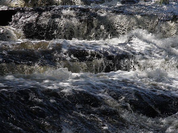 Carcajou Creek in Algonquin Park