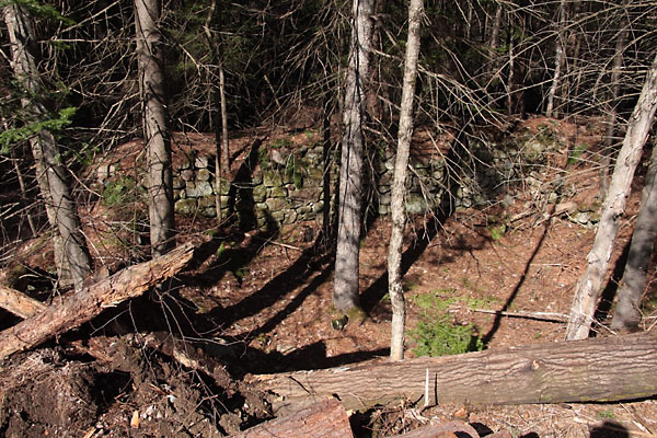 stone foundation at the Branstead Farm in the Petawawa Research Forest