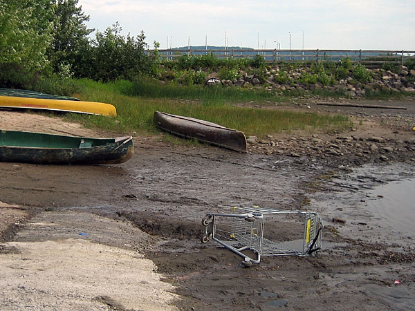 abandonned shopping cart along Deep River Waterfront