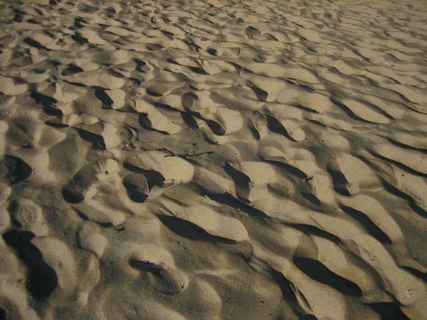 Sand at pine point Beach on the Ottawa River at Deep River