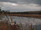 Cranberry Lakes on the Silver Spoon Ski Trails in Deep River