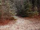 first dusting of snow in Point Alexander