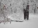 first winter storm of season in Point Alexander