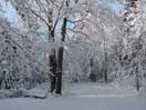 winter wonderland in Point Alexander