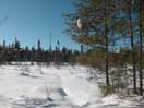 Maunsell Lake in the Petawawa Research Forest