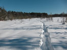 Maunsell Lake Ski Trail in the Petawawa Research Forest