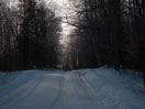Branstead Road in the Petawawa Research Forest