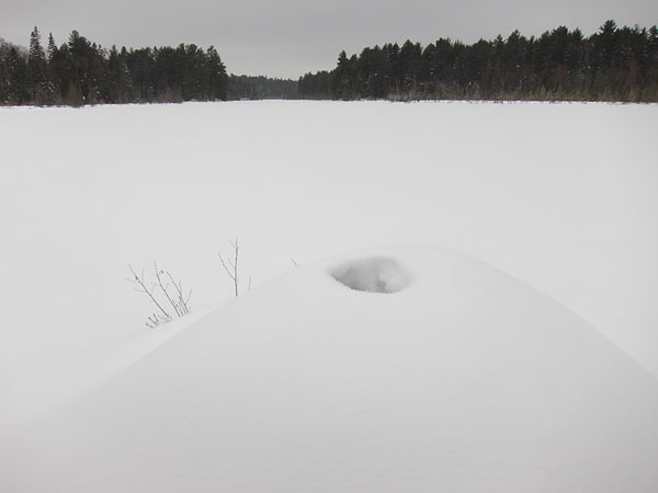 beaver house on Maunsell Lake in the Petawawa Research Forest