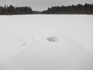 beaver house on Maunsell Lake in the Petawawa Research Forest