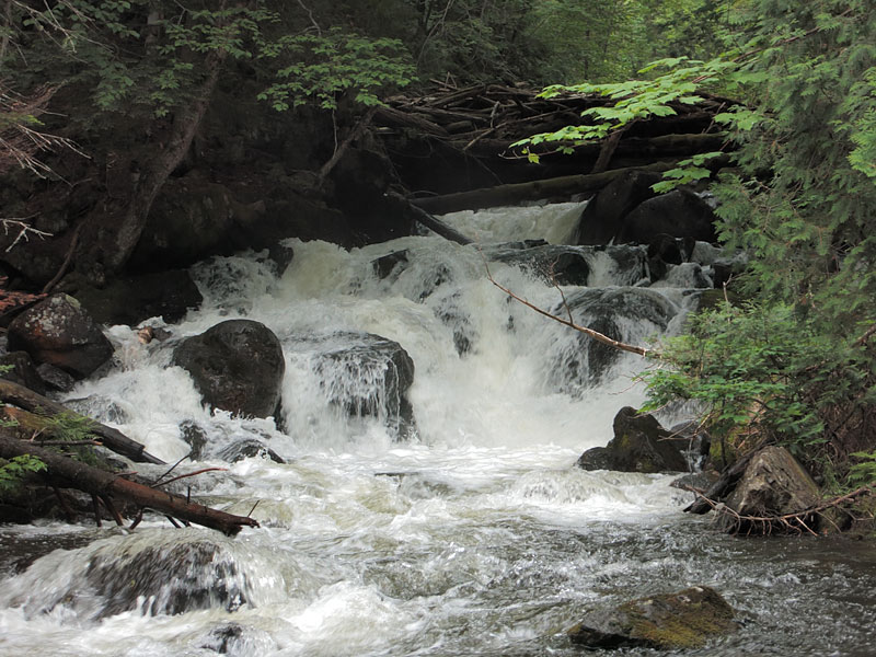 Laurel Lake waterfall in Algonquin Park