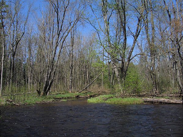 Little Bonnechere River at Sligo