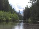 Barron River upstream of Brigham Lake in Algonquin Park