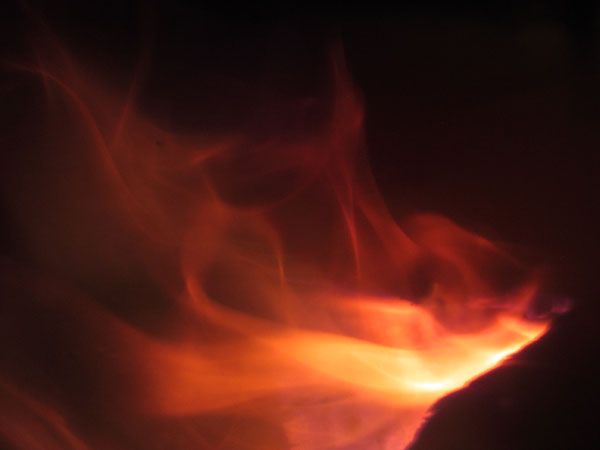 warmth