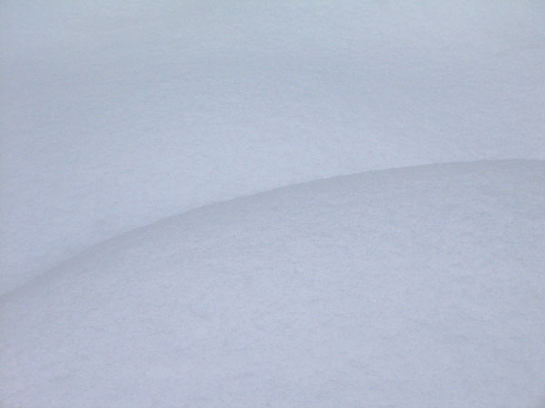 Snow Shapes in the Petawawa Research Forest