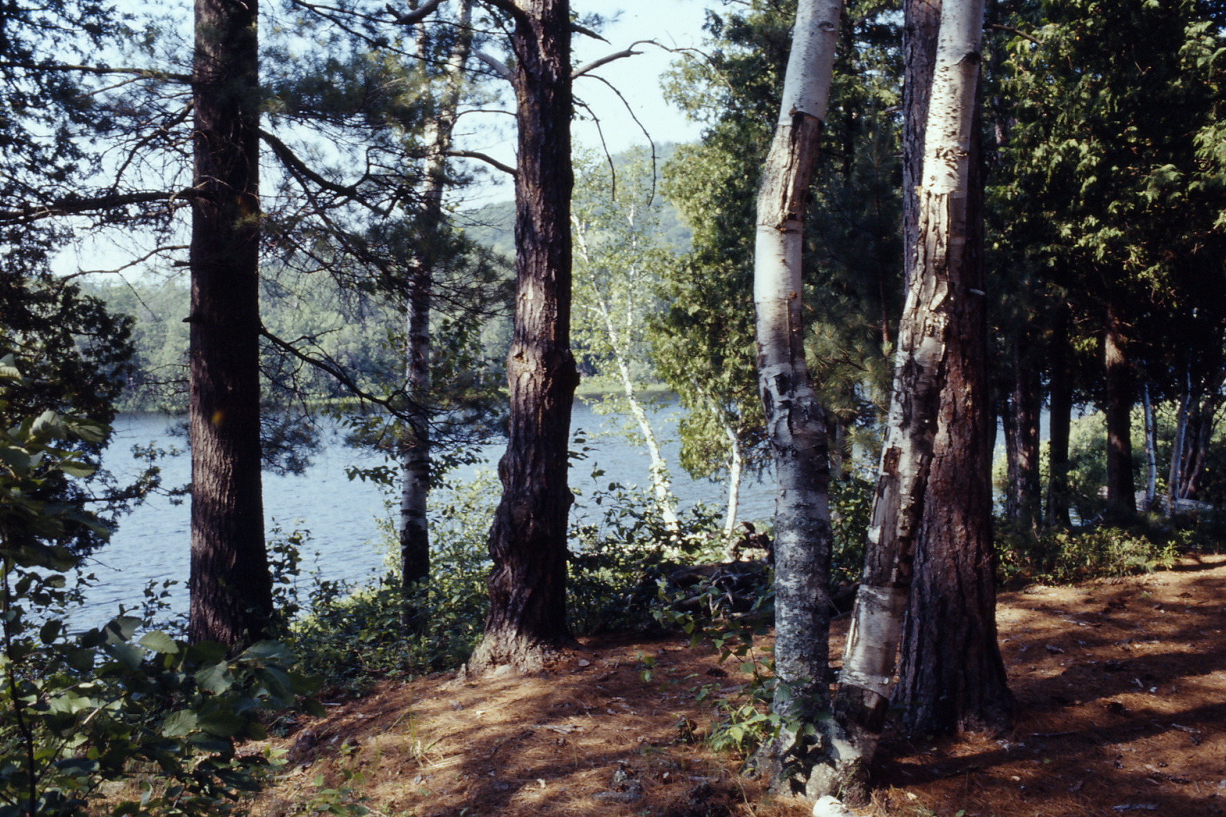 canoe trip  Whitson Lake  1973 July 0106