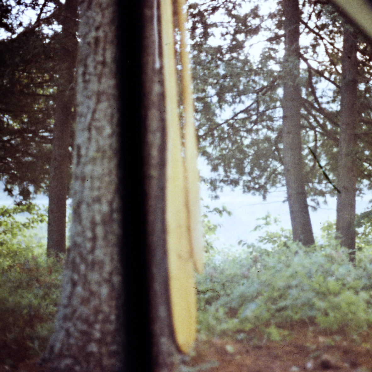 canoe trip  Whitson Lake  1973 July 0106
