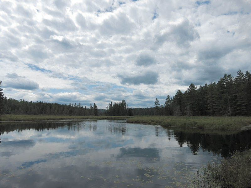 Carcajou Creek in Algonquin Park