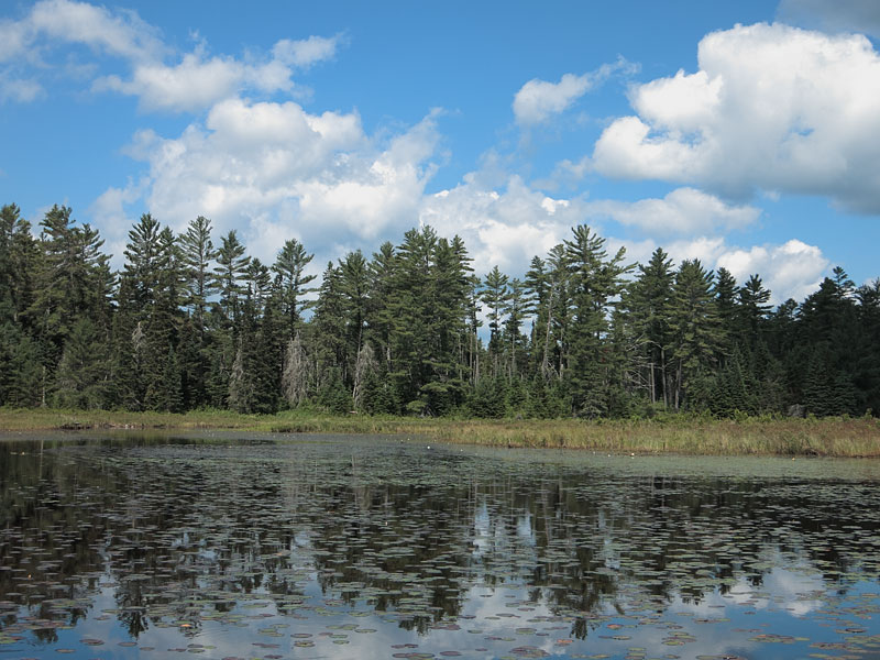 Wenda Lake in Algonquin Park