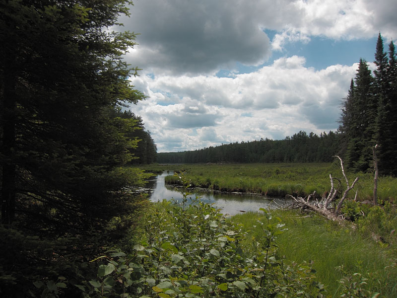 Carcajou Creek above Wenda Lake in Algonquin Park