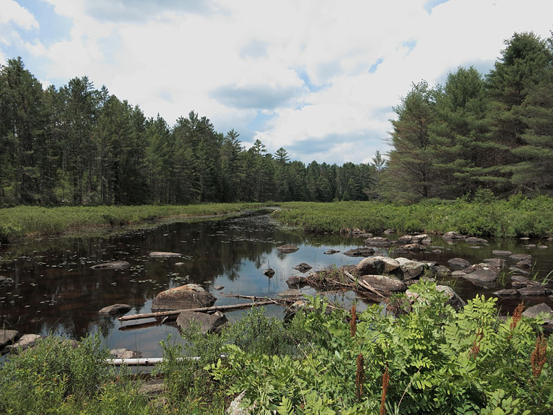 Carcajou Creek in Algonquin Park