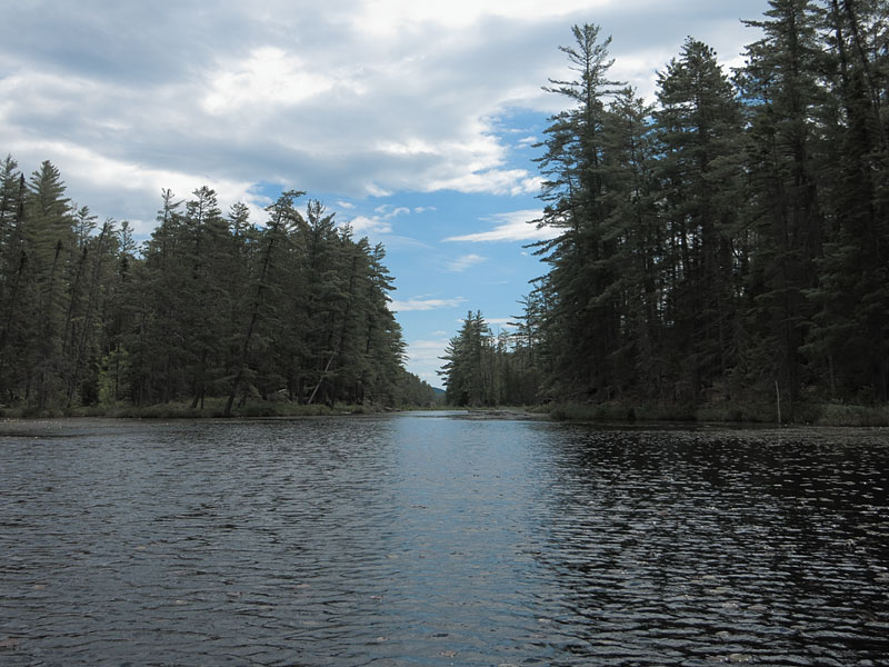 looking down towards Carcajou Lake in the sedge meadow on Carcajou Creek