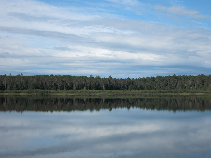 wetland on Carcajou Lake in Algonquin Park