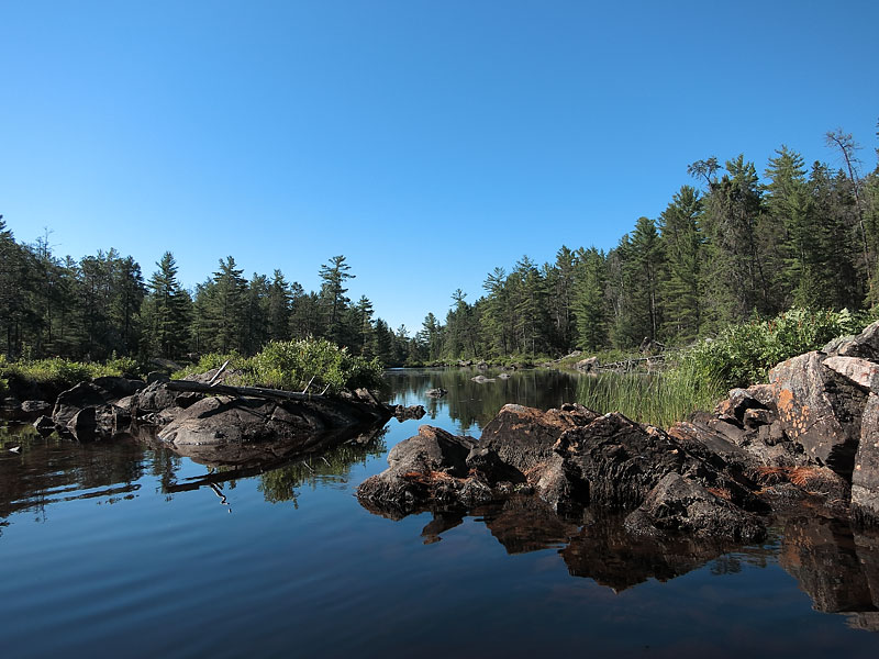 Heading towards Stone Chute on Carcajou Creek in Algonquin Park