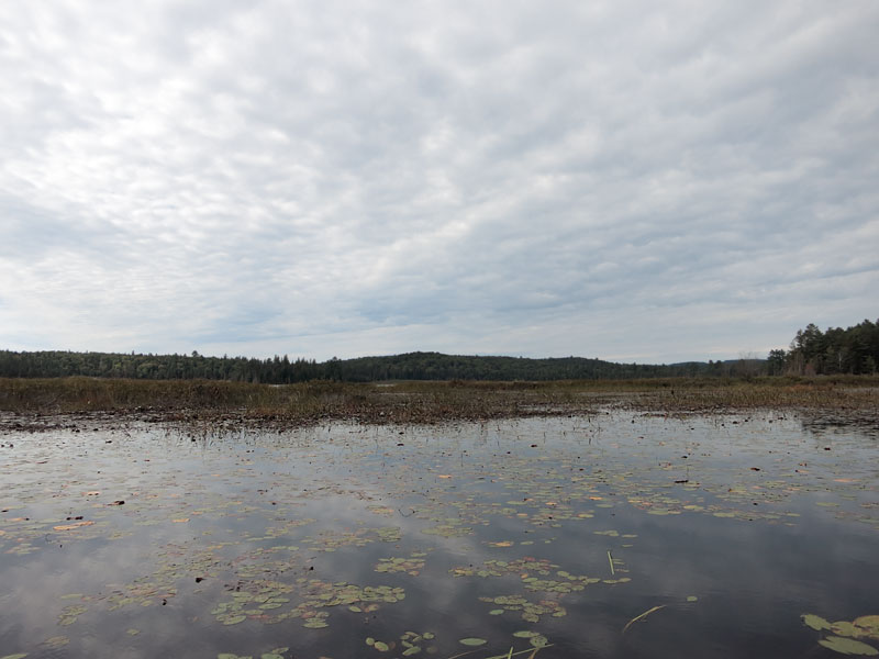 Club Lake in Algonquin Park