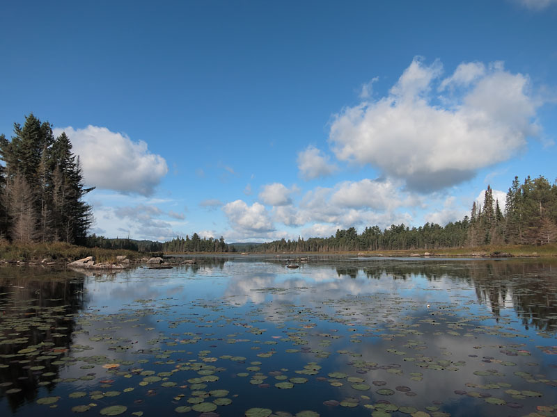 Club Lake in Algonquin Park