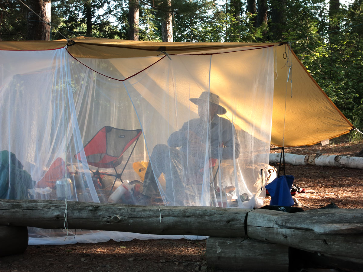Safe from the bugs on Cauchon Lake in Algonquin Park