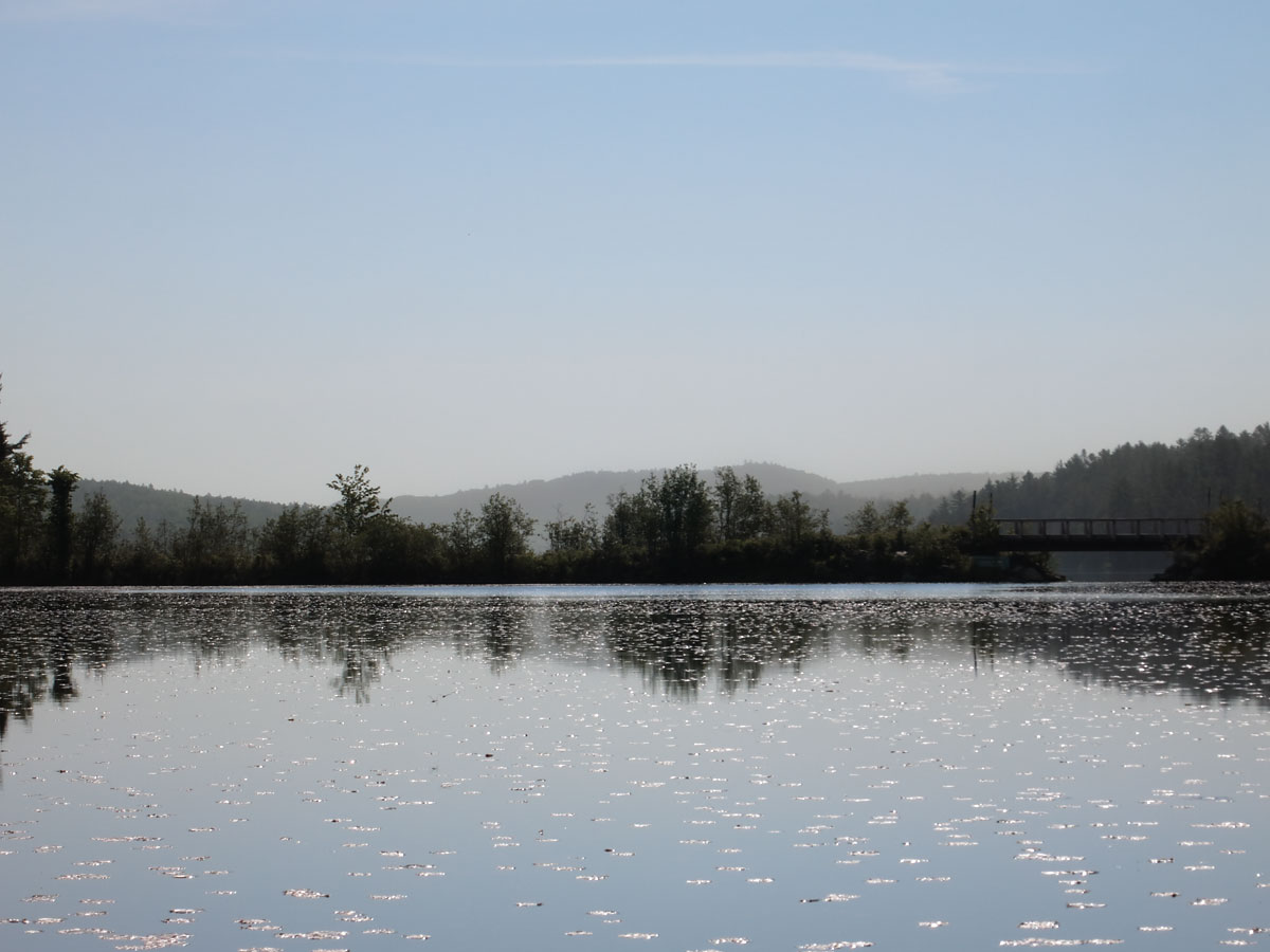 Pine pollen haze over Little Cauchon Lake in Algonquin Park