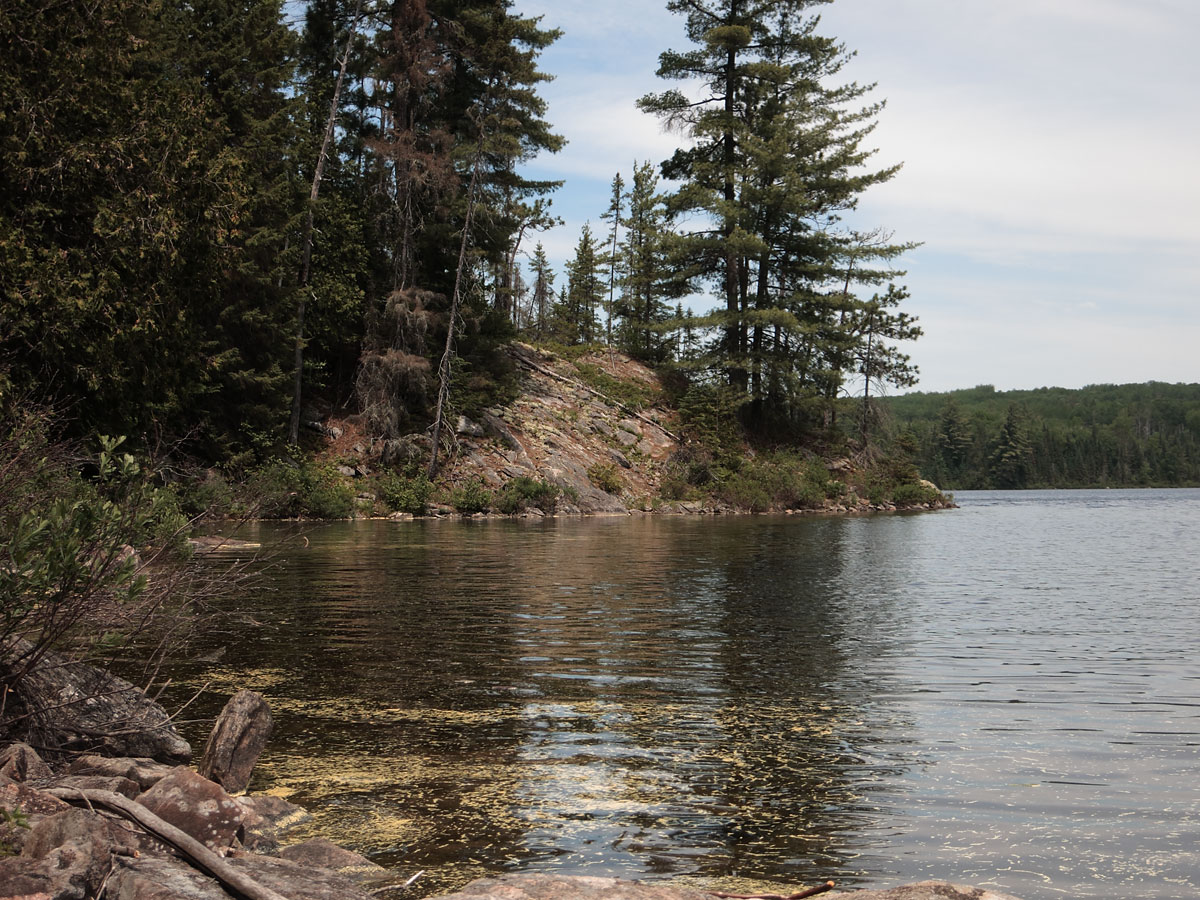 On Little Cauchon Lake in Algonquin Park