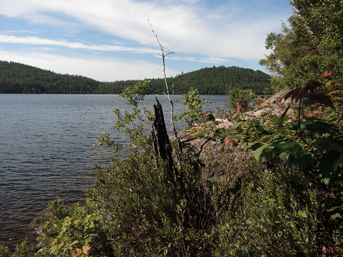 Cauchon Lake in Algonquin Park
