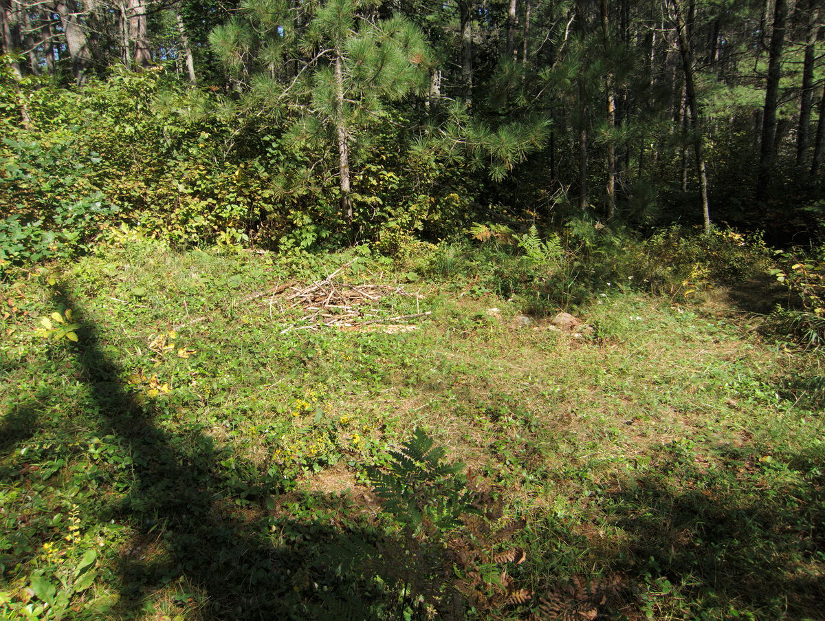 campsite at the end of the Five Miles Rapids portage in Algonquin Park