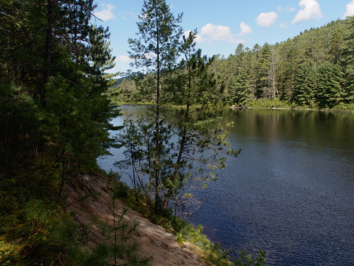 along the Five Mile Rapids portage in Algonquin Provincial Park